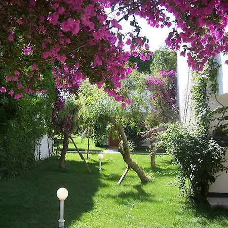 Club Boran Mare 5* Kemer