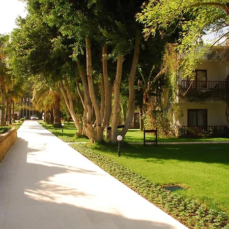 Club Boran Mare קמר