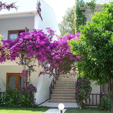 אתר נופש Club Boran Mare 5*