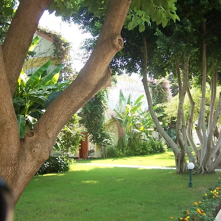 Club Boran Mare 5* Kemer