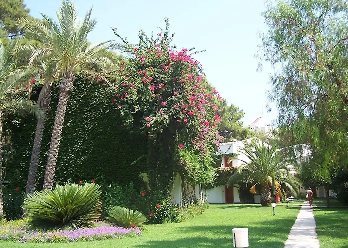 منتجع Club Boran Mare