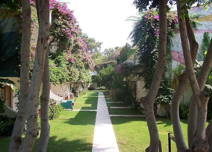 Club Boran Mare منتجع كمر